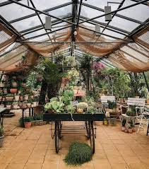 Petersham Nurseries On Instagram A Beautiful Snapshot Of Petersham Nurseries Richmond From Siobhaise My Favourite Backyard Glass Restaurant Flower Studio