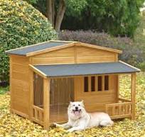 Amazon.com: GO 47.2" Wooden Dog House, Outdoor & Indoor Dog ...
