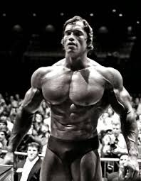 We did not find results for: Arnold Schwarzenegger Iphone Wallpapers Top Free Arnold Schwarzenegger Iphone Backgrounds Wallpaperaccess