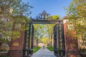 Yale university comprises three major academic components: After Controversy Over Dissent Program S Cancellation At Singapore Campus Yale Faculty Call For Academic Freedom Protections