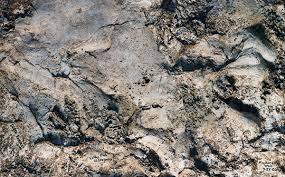 Directed by (1) writing credits (2) cast (49) produced by (9) music by (1) cinematography by (1) film editing by (1) casting by (4) production design by (2) art direction by (1) set decoration by (1) costume design by (1). The Skookum Cast