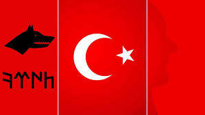 gokturkce turk bayragi ve ataturk 𐱅𐰇𐰼𐰜 emre cetin hayvan duvar kagidi turkler bayrak