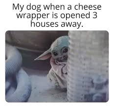 Pin By Laia On Baby Yoda Yoda Funny Funny Star Wars Memes Yoda Meme