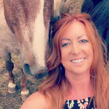 Bridle Ridge vs Hay Creek vs French Creek campgrounds in South Dakota