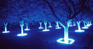 Heather Carson Light Art Installation Light Sculpture Light Art