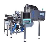 Optical Color Sorter for Fruit and Vegetable Sorting ...