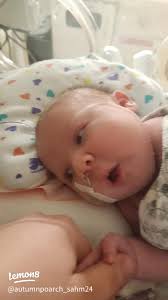 Discover Unique Ideas This Autumn