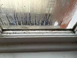 Mildew is just mold in its early stage. How To Remove And Prevent Black Mold On Windows Home Cleaning Services Maid Service Planet Maids