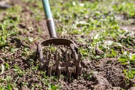Need to turn your soil ready for growing season? The 50 Best Tillers For Your Garden Of 2021 Family Living Today