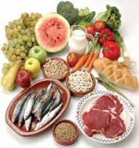 We did not find results for: El Gran Viaje De Los Alimentos Perecederos El Mundo En Un Bocado