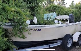 Maybe you would like to learn more about one of these? Free Boat Worth The Hassle The Hull Truth Boating And Fishing Forum