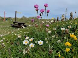 Eoropie: the Playground at the Edge of the World