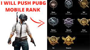 I Will Push Pubg Mobile Id Rank To The Conqueror Fast Fiverr Person Ranking
