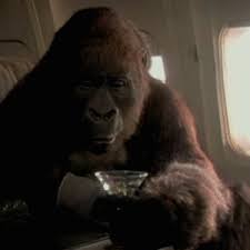 Лора линни, дилан уолш, эрни хадсон и др. Congo Will Forever Be The Dumbest Movie That I Love To Watch Gifs