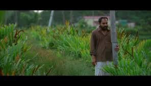 The directorial debut was written by syam pushkaran and jointly produced by fahadh. Plain Memes Of Soubin Shahir In Kumbalangi Nights