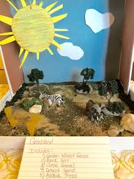 Desert Biome In A Box Biome Grassland Project 4th Grade Ecosystems Projects Biomes Project Habitats Projects