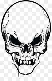 Skull pencabut nyawa png : Human Skull Drawing