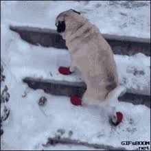 Slipping On Ice Gifs Tenor