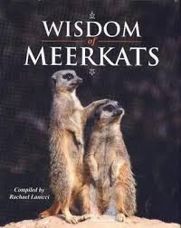 Wisdom Of Meerkats Encouraging And Uplifting Quotes Cute Photos Meerkat Leather Gardening Gloves Small Pets