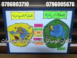 وسيلة تعليمية للعلوم عن الخلية النباتية والخلية الحيوانية education knitting kids