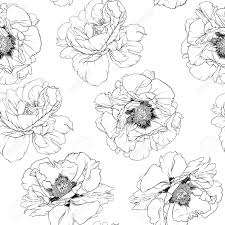 Check spelling or type a new query. Peony Flowers Seamless Pattern Background Outline Hand Drawing Royalty Free Cliparts Vectors And Stock Illustration Image 133825108