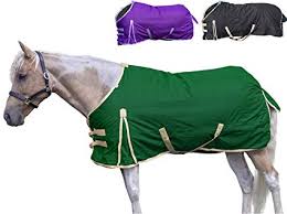 Derby Originals 600d Ripstop Nylon Waterproof Medium Weight 250g Polyfil Winter Horse Turnout Blanket With One Year Limited Manufacturers Warranty