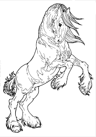 Patterned Clydesdale By Applehunter On Deviantart Horse Coloring Horse Coloring Pages Animal Coloring Pages 841x750 friesian coloring pages thoroughbred horse.