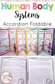 The organisms that cause infections are very diverse and can include things like. Human Body Systems Activity Foldable Booklet Printable Digital Google Human Body Systems Activities Human Body Systems Human Body Systems Projects