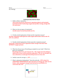We did not find results for: Name Date Env Biology Cell Respiration Review Sheet