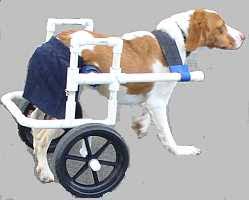 dog wheelchairs