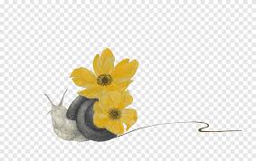 Check spelling or type a new query. Drawing Carrying Flowers Snail Animals Flower Png Pngegg