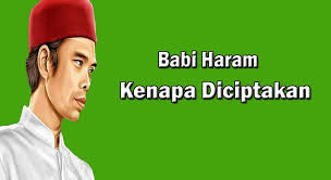Tanya Jawab Ustadz Abdul Somad Lucu For Android Apk Download