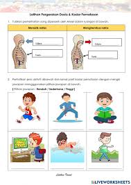 Check spelling or type a new query. Tahun 4 Kadar Pernafasan Interactive Worksheet