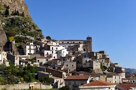 Image result for Sutera debilis