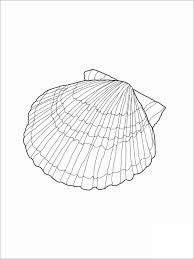 There will be plenty of opportunities to get creative with color and try out some cool new art mediums on our coloring pages. Free Printable Seashell Coloring Pages For Kids Coloringbay