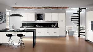 modern modular kitchen designs combine