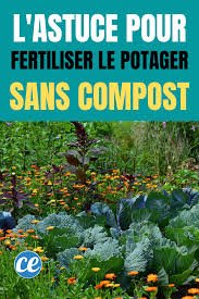 Comment Fertiliser La Terre De Son Potager Sans Faire De Compost En 2020 Potager Fertilisant Potager D Hiver