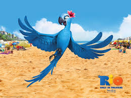 Birds Of A Feather Song Rio Click Here To Download In Hd Format Jewel In Rio Movie Wallpapers Http Www Superwallpapers In Wallpape Rio Movie Movie Wallpapers Animated Movies