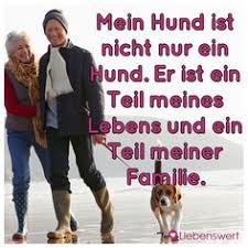 Die 92 Besten Bilder Von Sprüche Für Tierfreunde In 2019 Tierliebe