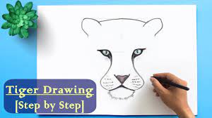 Drawing sites and drawing websites go over it plenty. How To Draw A Tiger Step By Step Easy Tiger Drawing For Beginner Youtube