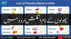 He classified living things according to similarities. List Of Flowers In English With Urdu Hindi Meaning Flowers List With Pictures