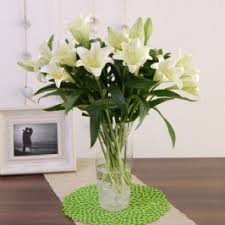 Contact details for artificial flowers in pretoria. Gauteng Pretoria Florist Progifts Co Za
