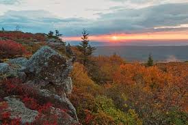Maybe you would like to learn more about one of these? 9 Places To Visit In West Virginia S Monongahela National Forest