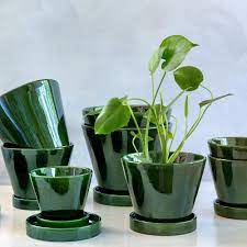 Indoor plant pots are perfect for displaying flowers and plants around the home. Buy Bergs Potter Julie Plant Pot And Saucer Green 11cm Amara Plant Pot Design Cheap Plant Pots Plant Pots Uk