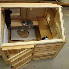 The straw fort as an outdoor cat shelter. Insulated Cat House For Multiple Cats Pasteurinstituteindia Com