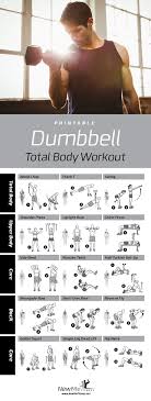 dumbbell workout for all your major muscle groups build