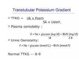Image result for Transtubular Potassium Gradient