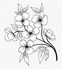 Maybe you would like to learn more about one of these? Free Png Hand Drawn Floral Bouquets Black And White Flower Png Florals Png Free Transparent Png Images Pngaaa Com
