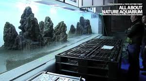Voir plus d'idées sur le thème paludarium, aquarium, aquarium d'eau douce. Takashi Amano Sumida Aquarium Vol 2 Youtube