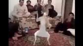 Dancing Deer Meme Youtube